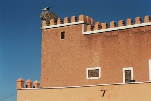desierto_dades_1