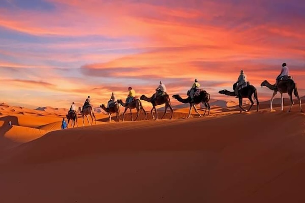 desierto_dades_2